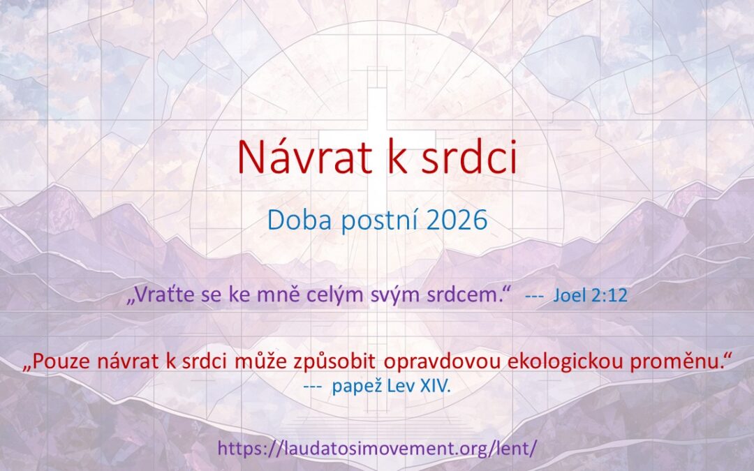 Návrat k srdci
