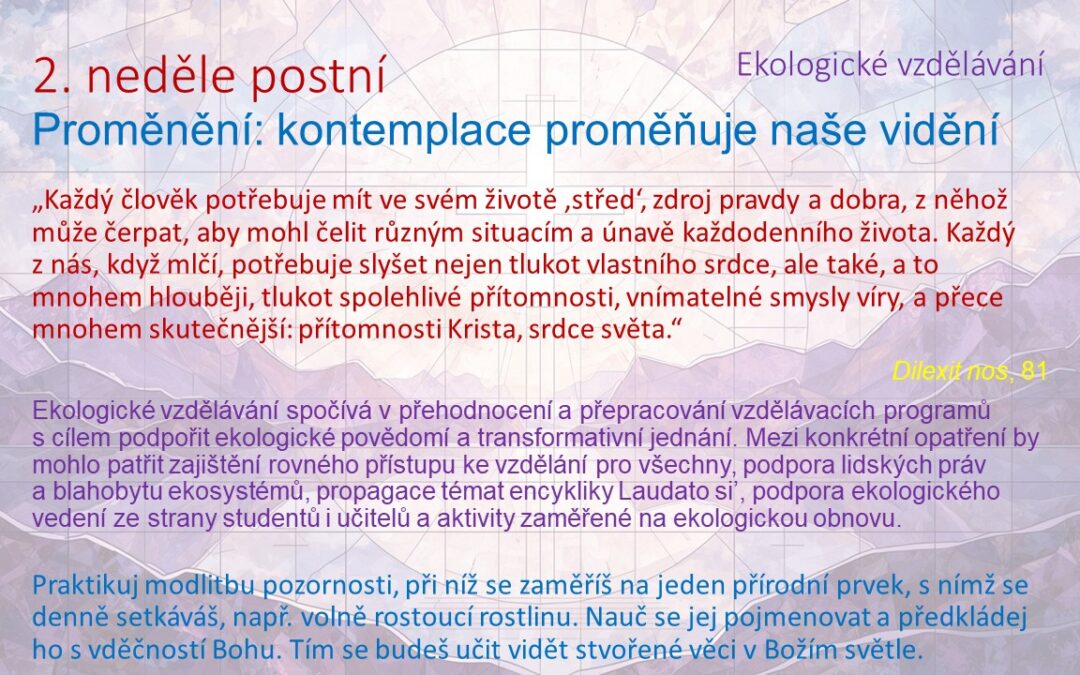 Jak kontemplace mění náš pohled