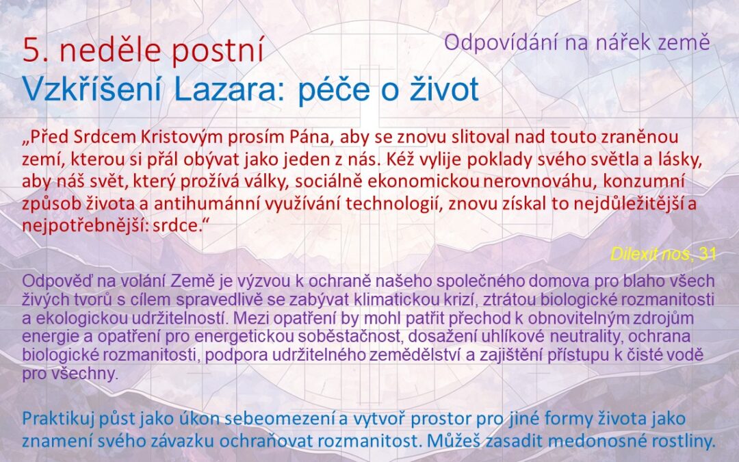 Vzkříšení Lazara a povolání k péči o život